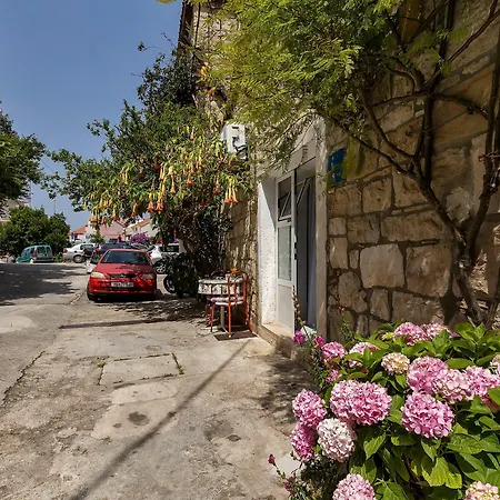 Kata Makarska